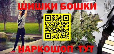 прущие грибы Северобайкальск