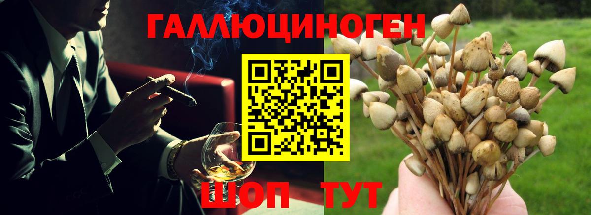 Галлюциногенные грибы мицелий  Вход с VPN  Ртищево 